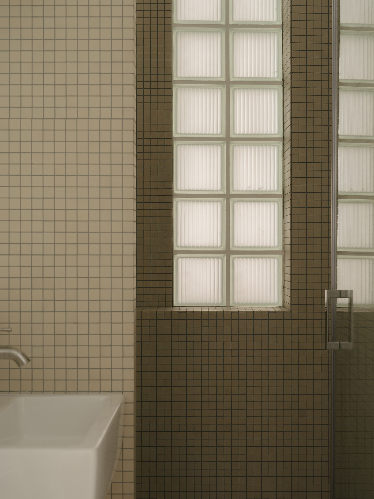 Bathroom with glass blocks