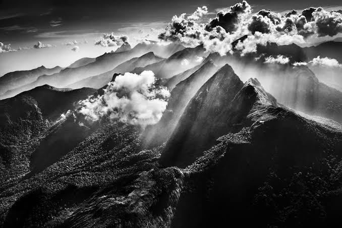 Sebastião Salgado, retrato del fotógrafo brasileño